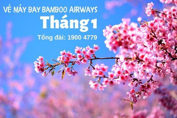 VietjetR's tweet photo. Vé máy bay tháng 1 Bamboo Airways, hay vé máy bay của nhiều hãng bay khác trên nước ta, bạn đều có thể dễ dàng cập nhật và tìm kiếm nhanh nhất tại hệ thống https://t.co/4pUEDBIqw0
https://t.co/ffG1jmgUHn https://t.co/jGD4kKGVj7