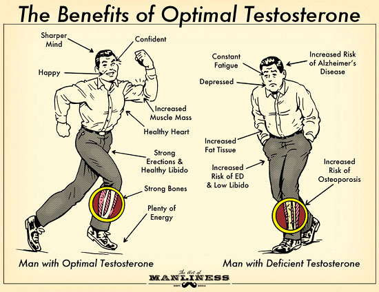 Testosterone nofap 31 NoFap