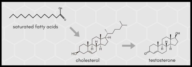 DIET - a typical high cholesterol diet increases testosterone production.  Saturated fat is a building block for cholesterol, which in  turn is used for testosterone production. Consume more high quality, fatty animal meats, eggs, butter, coconut/olive oils