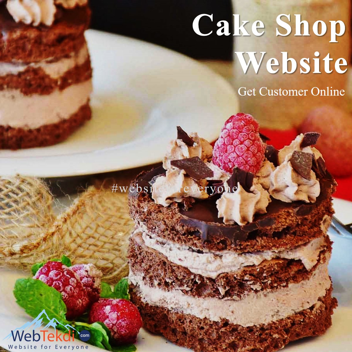 Websitein4steps Websitein4steps