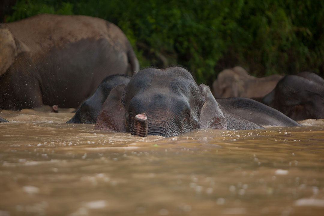 Sticky Rice Travel tweet media