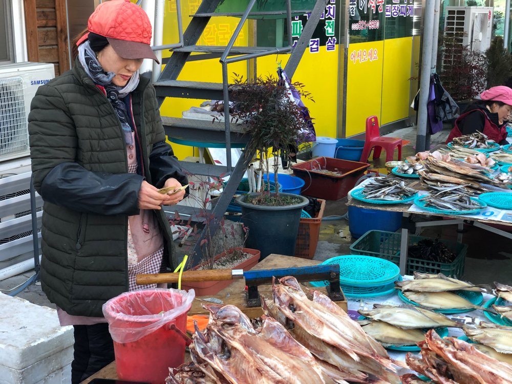 [moi] 새해 첫 장날..인파로 북적이는 ‘북평민속오일장’

동해 북평민속오일장은 경자년 새해 첫 장날을 맞이해 장터를 찾아온 인파로 북적이고 있다.

☞더 보기 omn.kr/1m7h4

😉moi는 일상의 이야기를 누구나 쉽게 나눌 수 있는 공간입니다