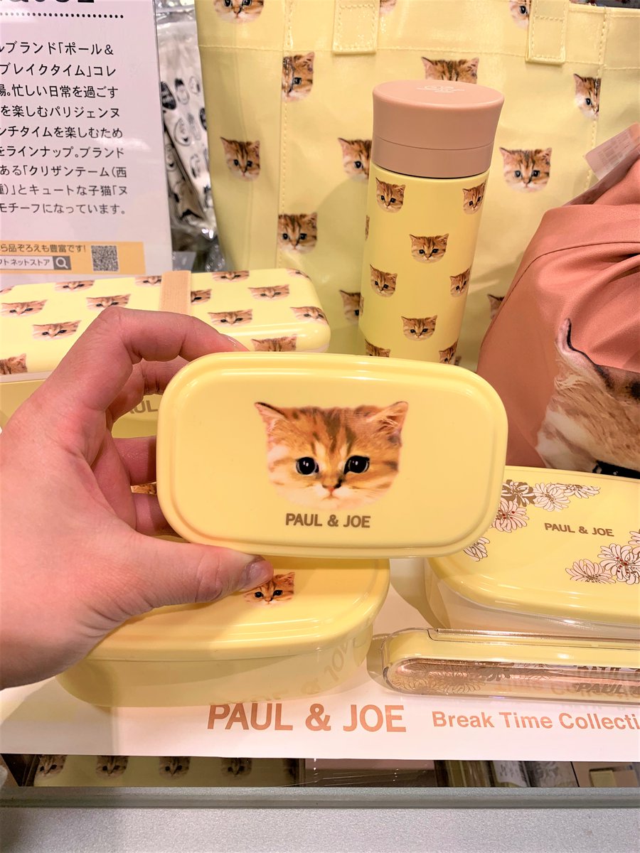 吉祥寺ロフト ٹوئٹر پر 吉祥寺ロフト 猫情報 コスメで大人気の Paul Joe からランチグッズが入荷 ランチボックス 水筒 お箸 トートバッグ ぜんぶ猫づくしです この表情 可愛いっ たまらない これはお友だちに自慢しちゃいますね 4階 家庭