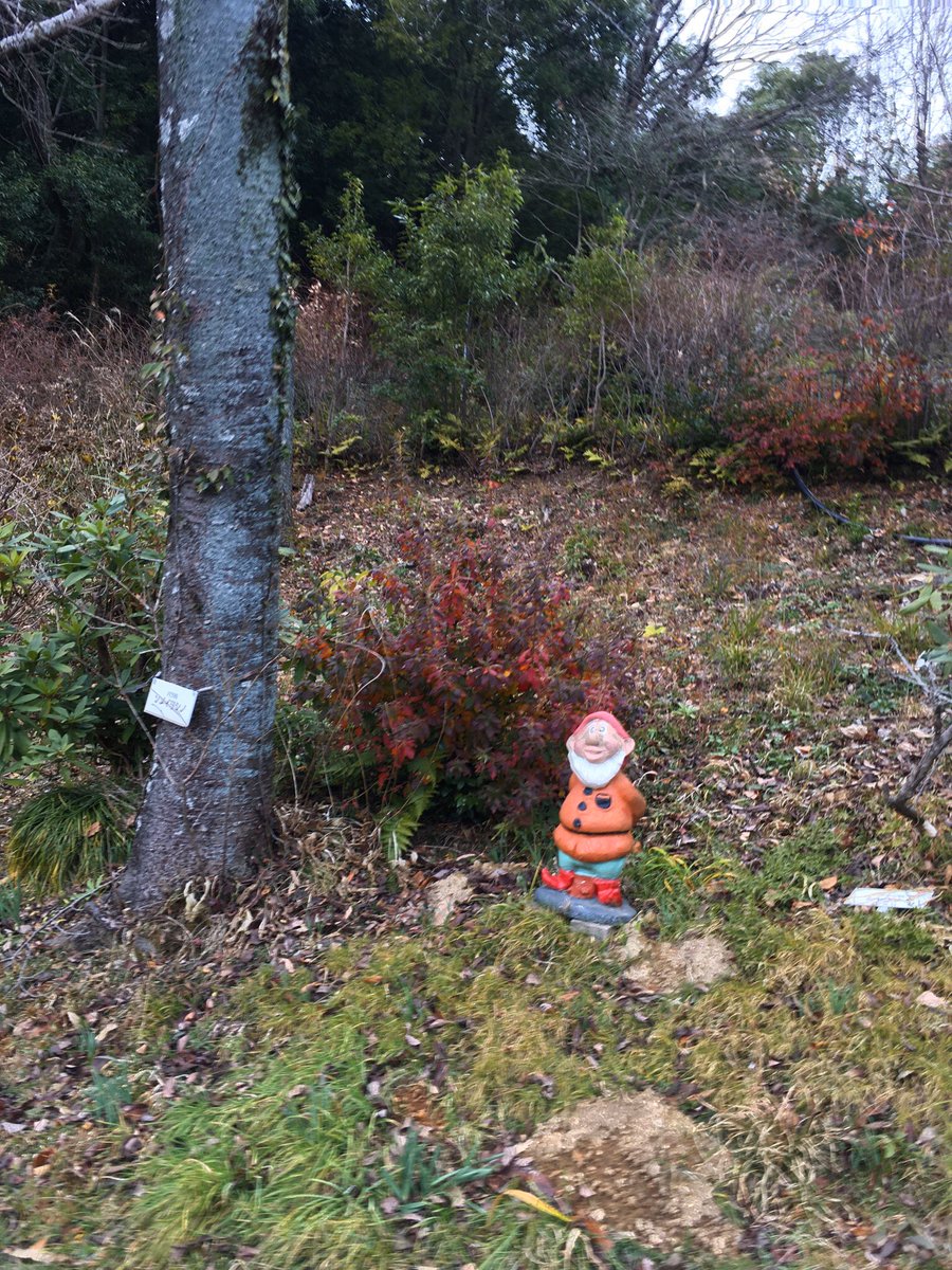 オジョンボンx در توییتر 日本モンキーパークは モンパ君グッズを買おうと思ってショップに行っても なぜか自社グッズよりディズニーグッズの方が充実してるし Bgmはアンパンマンだし世界観がプライドゼロで好感が持てる 写真は園内に曖昧に設置されているアレの小人