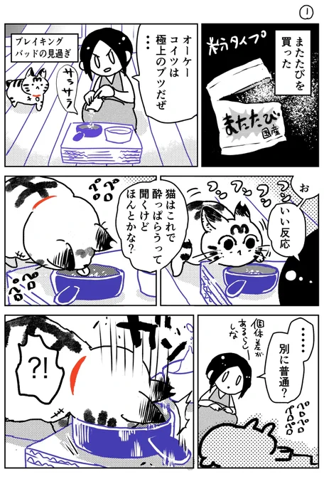 猫飼いました66 