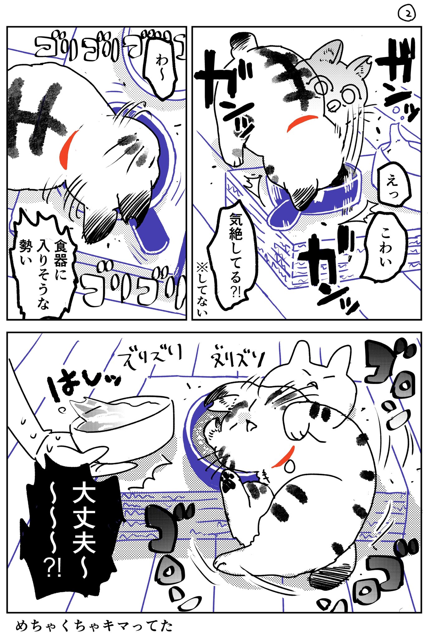 天道グミ 猫飼いました66 天道グミ 猫飼いました66