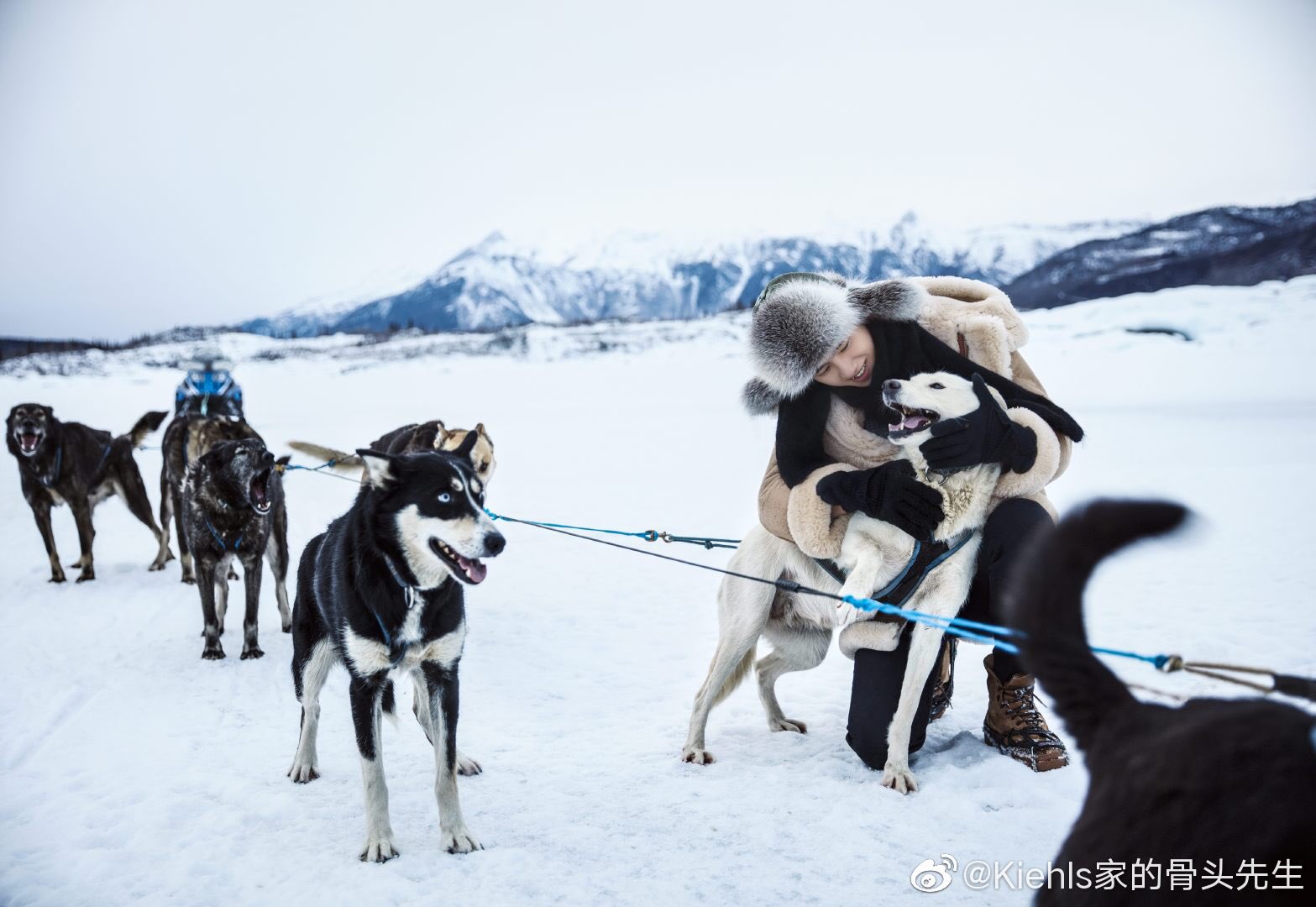 Liu Haoran 刘昊然Updates on X: New photos of Haoran in Alaska