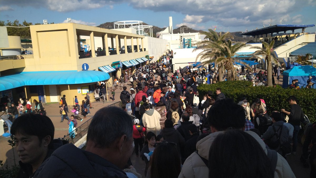 じょりんご 正月の鴨川シーワールドすげえ混雑 じょりんご 正月の鴨川シーワールドすげえ混雑