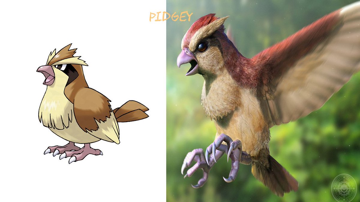 JerryShocker tweet media