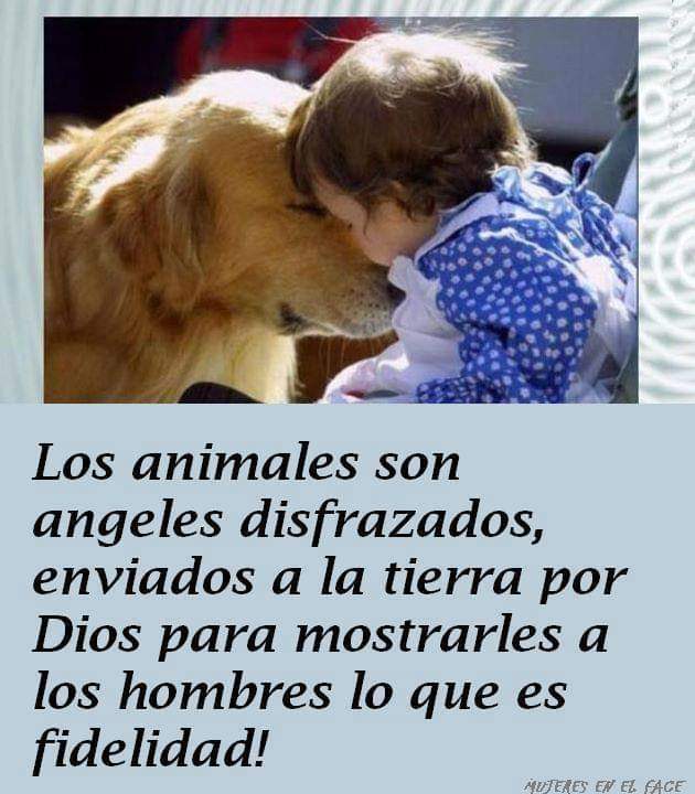 Betty 💞 (@betty_soyy) on Twitter photo 