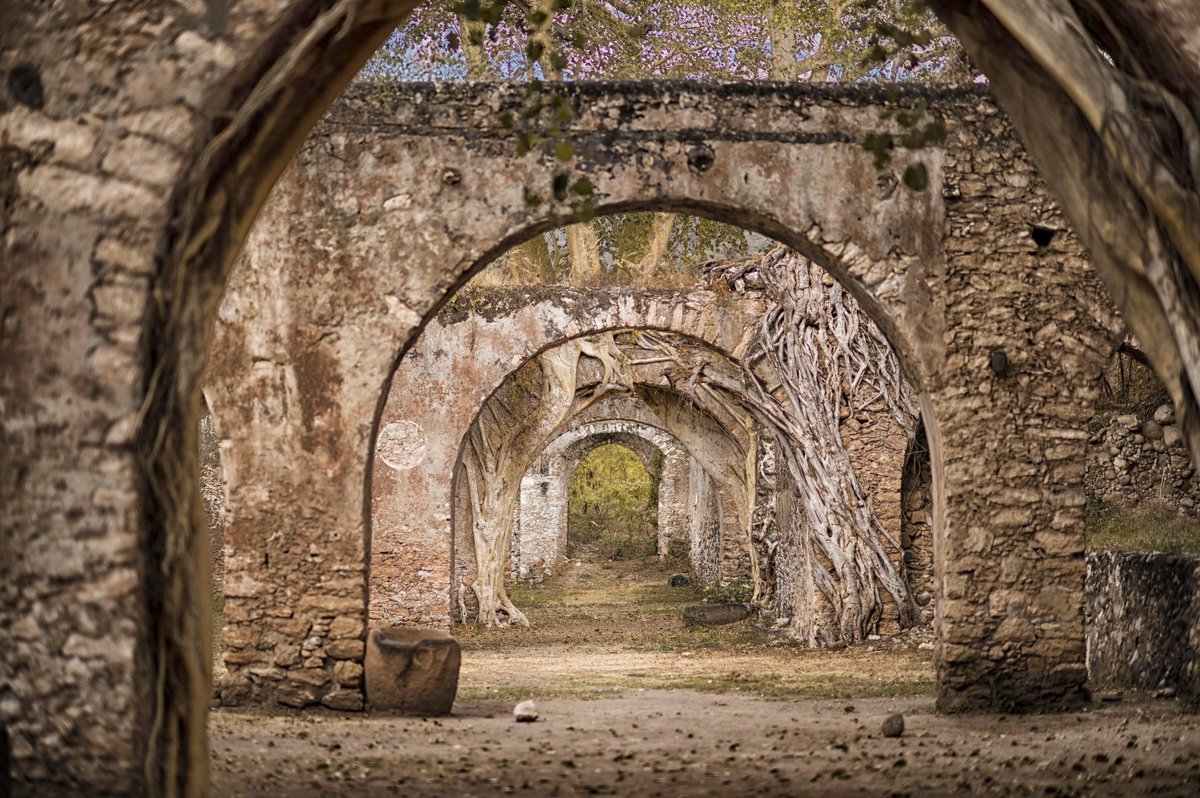 gpfotografiaMty's tweet photo. México es maravilloso.
@NikonMX @NikonistasMx #mexico #mexicomagico #NikonMx #Nikon #NikonZ6 #haciendas #viajestravel #locaciones #morelos @lohechoenmexico https://t.co/J2FPXg3Bbf