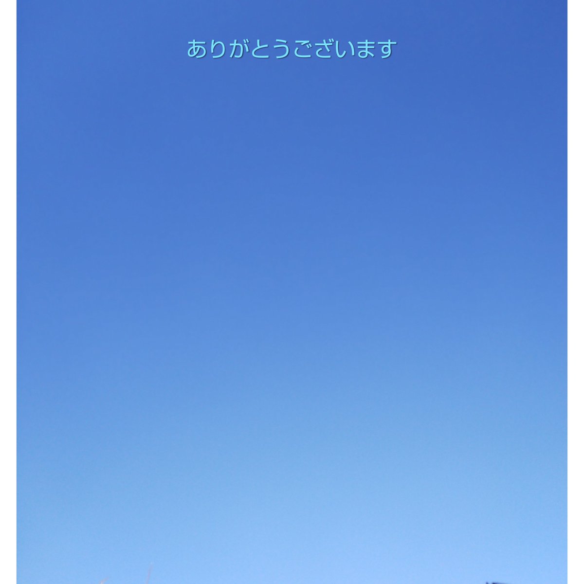 DPmk290629's tweet photo. 今年も。

ありがとうございます。

#令和2年 
#ずっと青空 💙 https://t.co/9W9KD7gxQk
