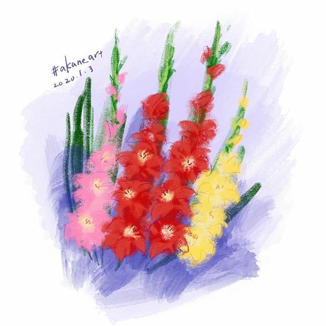 Akane Art Gladiolus グラジオラス 花 球根 Flowers Akane Art イラスト Illustration 0103 Drawing Art Painting Procreate 一日一絵 Onesktchaday Onedrawingaday 365drawings T Co Ykc6bkv6tl T Co Qbcowndvyy