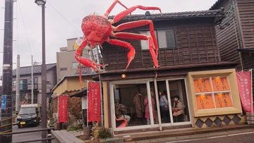 画像 / Picture