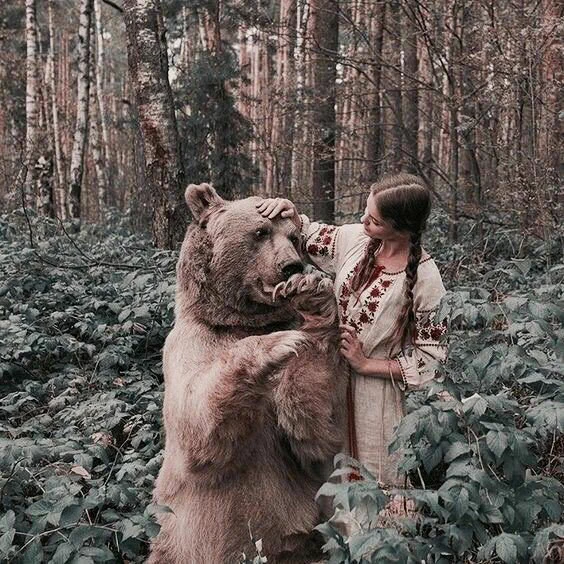 @reiwasedaibot できるらしい 