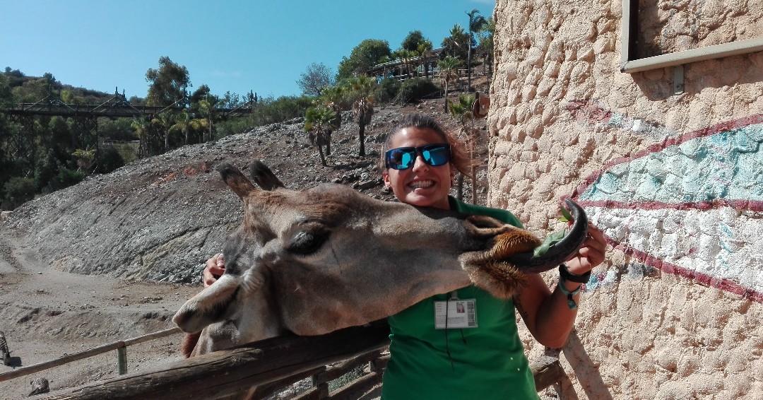 EducatorsIz's tweet photo. #FacesFriday

Name: jessica
Institution:  Selwo Adventure
Years as educator: 5
Favorite Animal: Hippopotamus (Hipopótamos)

See more on FB https://t.co/PFKxRSbXOX

#ize #zooaquariumeducators #izeducators #facesofize https://t.co/FJEKh7RS9e