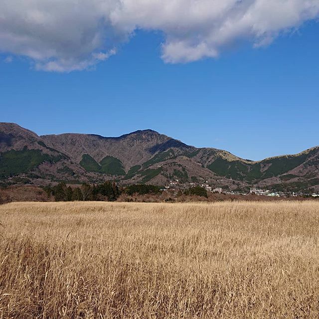 hakogotoWINES's tweet photo. 1st run of the season, Sengokuhara! 初ランは仙石原で！ #sengokuhara #hakone #japantourism #beautifuljapan #jogging https://t.co/ia2m4NZgQf https://t.co/KCXL7amMpz