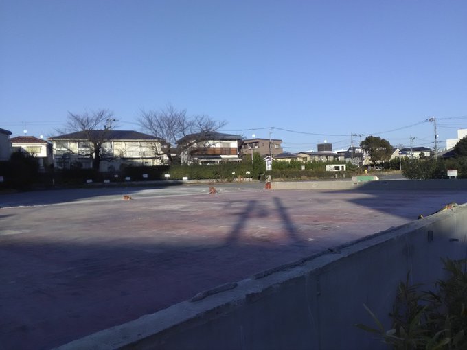 Park Leeさん がハッシュタグ パワーラークス をつけたツイート一覧 1 Whotwi グラフィカルtwitter分析