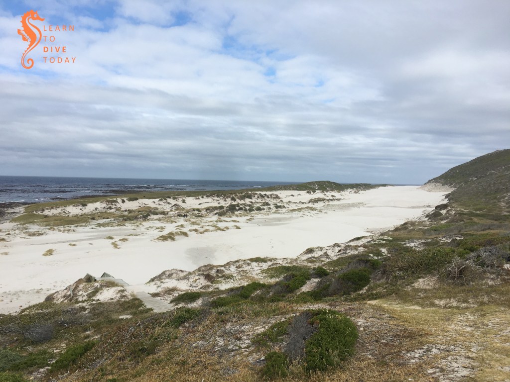 Newsletter: First of the year learntodivetoday.co.za/blog/2020/01/0…