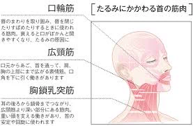 クビレや顔のたるみの防止に効果抜群！？寝ながらできるクビレストレッチ！