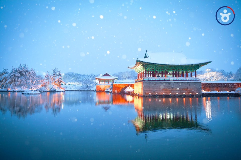 겨울동화 속 #동궁과월지
낮에도 밤에도 아름답기로 유명한 경주 동궁과 월지.
눈이 내리는 풍경 속 동궁과 월지는 더더욱 아름답습니다.

보기만 해도 눈이 부신 겨울동화 속 동궁과 월지. 이번 겨울 여행은 경주 여행 어떠신가요?

#새해여행

📸 제43회 대한민국 관광사진 공모전 전우석