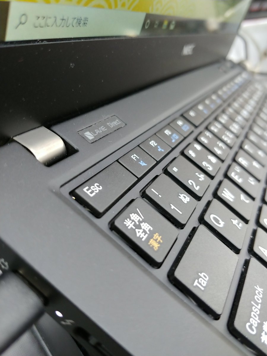 からまる Lavie Direct Pm X とthinkpad X390 からまる Lavie Direct Pm X とthinkpad X390