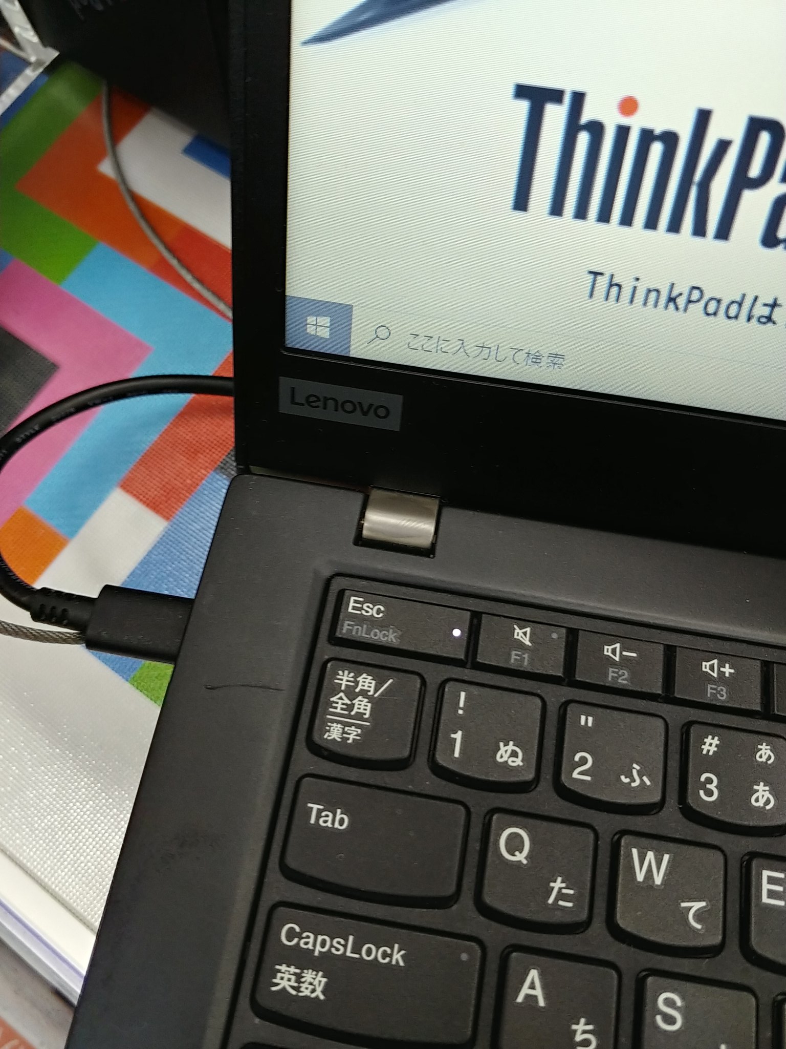 からまる Lavie Direct Pm X とthinkpad X390 からまる Lavie Direct Pm X とthinkpad X390
