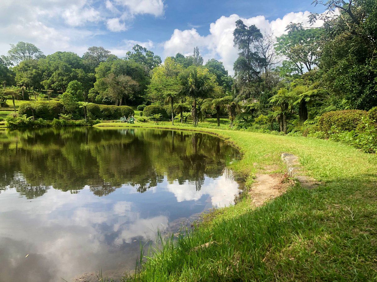 JoshCHollands's tweet photo. The Bvumba Botanical Gardens are a hidden gem, definitely recommend checking them out. Zimbabwe is beautiful 🇿🇼💛💚 https://t.co/BJal14qYiM
