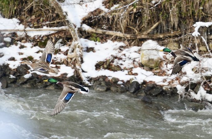 久しぶりに田舎へ挨拶に行った
寒いよ! 