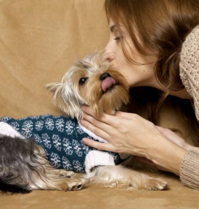 VPetzuk's tweet photo. It's not just humans that over indulge at Christmas! Good mobility and a healthy lifestyle are key for us all!
#MakePetzGreatAgain #PetzOfInstagram #VetzPetzUK #Antinol #MobilityMatters #SpringInto2020
https://t.co/Tz5sT4dG4X https://t.co/kPVexysKUD