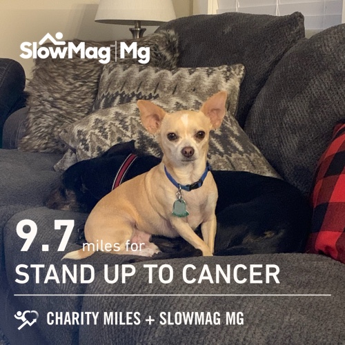 allibolt37's tweet photo. 9.7 @CharityMiles for @SU2C. Thx #SlowMag for sponsoring me. https://t.co/8qb0pvRFCS
