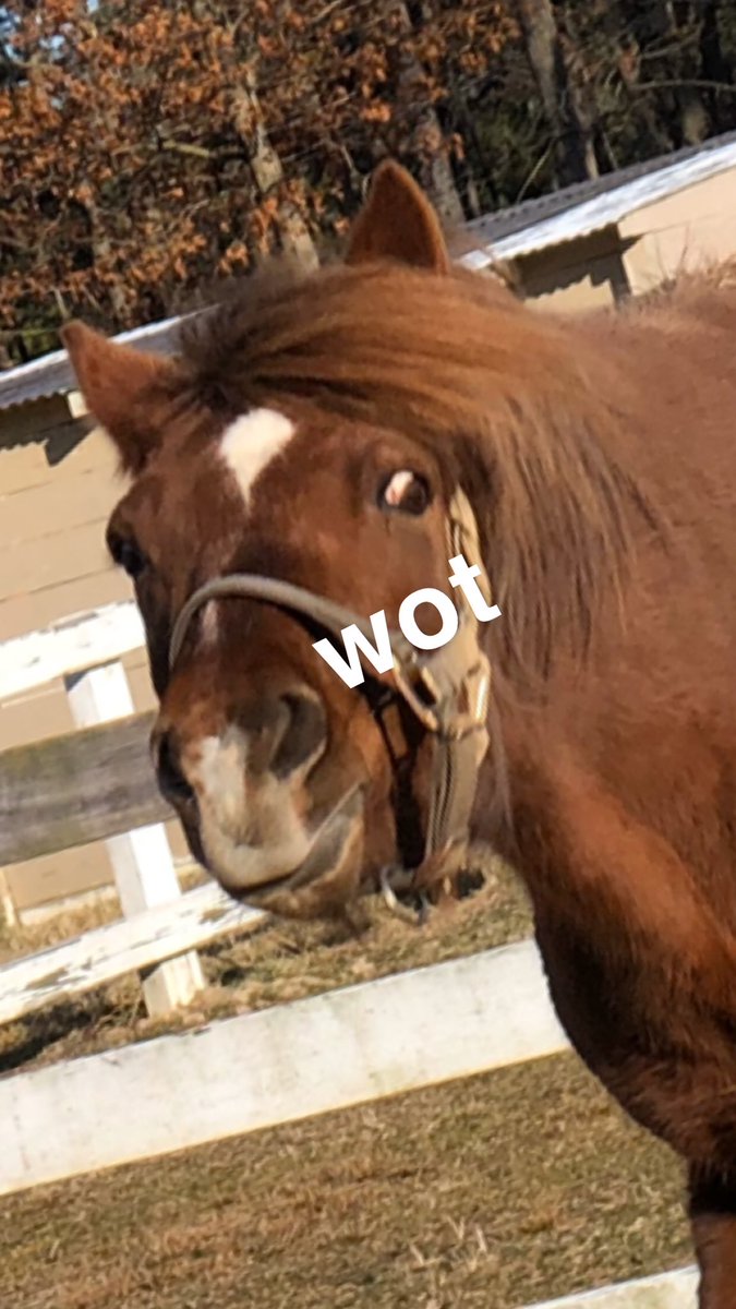 Me minding my own business vs me going on twitter seeing #WWIII  on trending