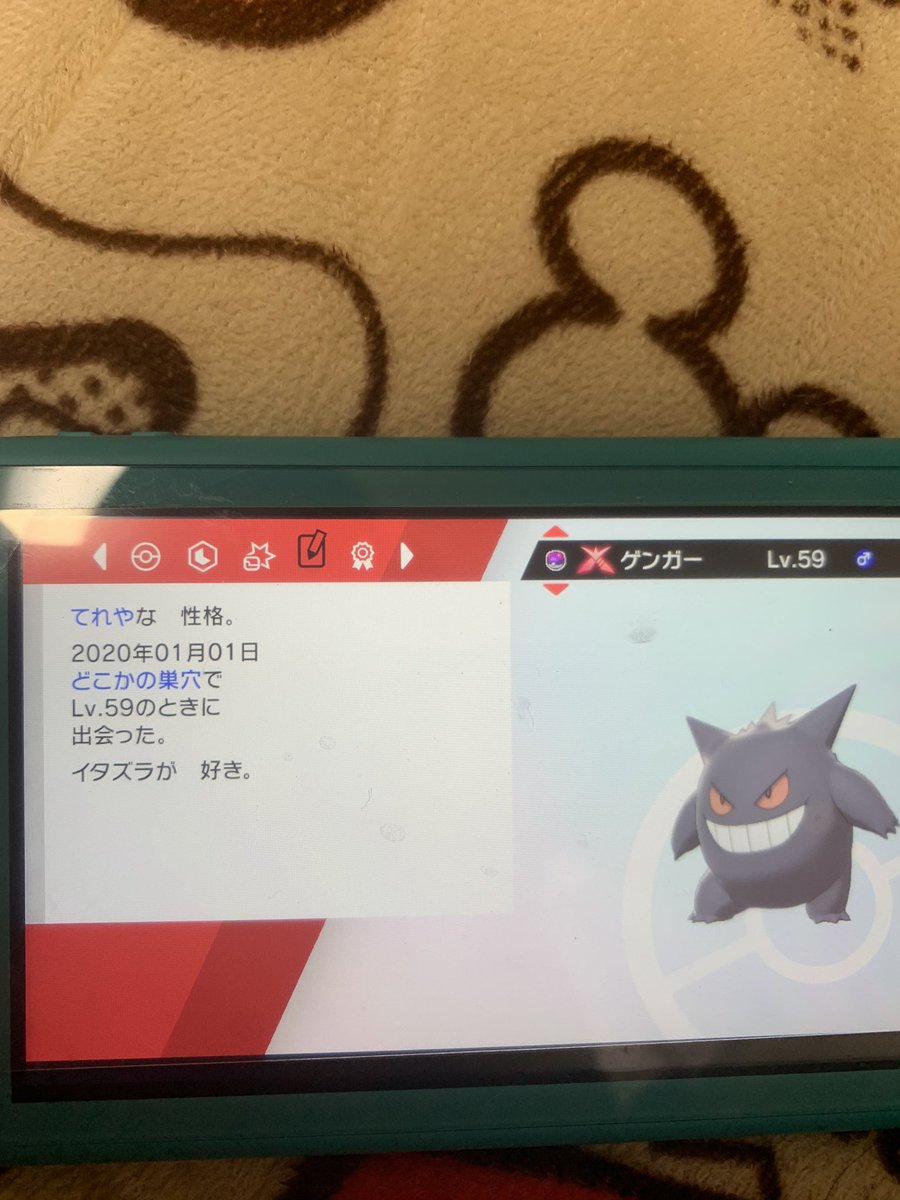 ポケモン剣盾 どこかの巣穴