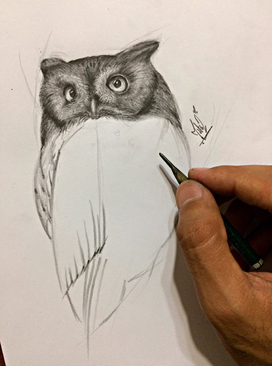 MoatzAwad7's tweet photo. Pencil sketches .. https://t.co/qrOBBACxOr