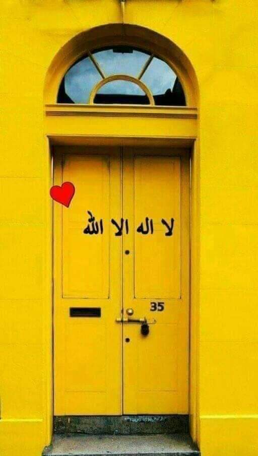 AmirWahba4's tweet photo. 💛 https://t.co/TUa64El9Bt