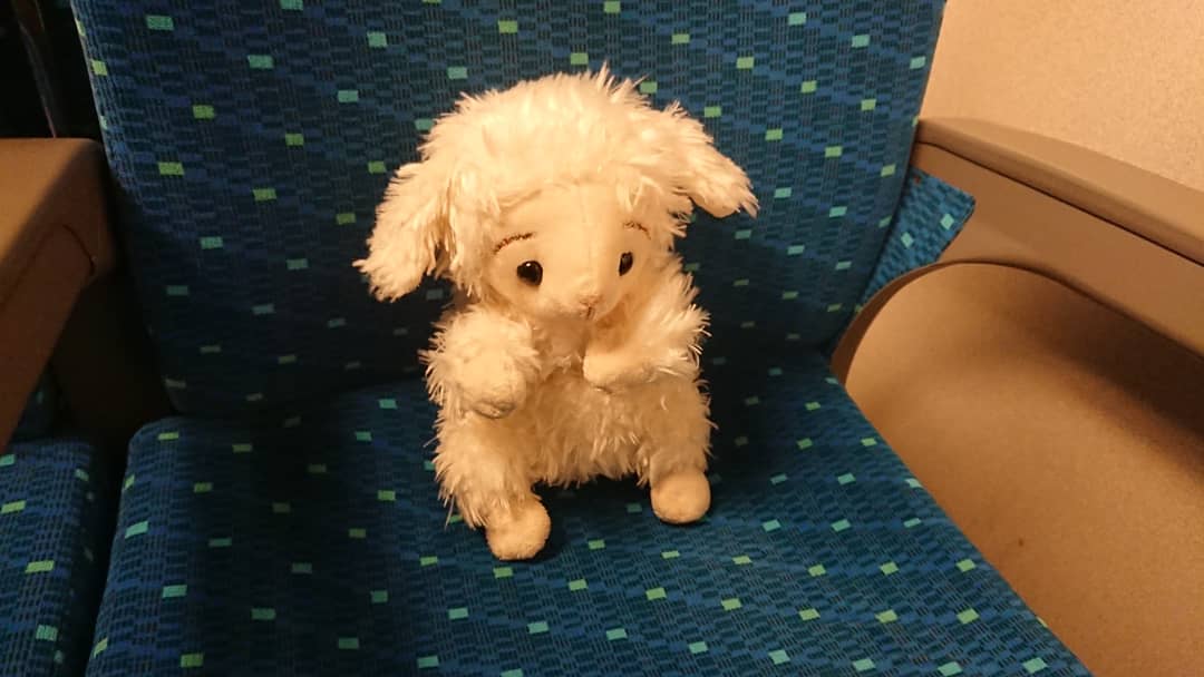 ひつじのハッピー 自由に旅するぬいぐるみ 出張終わって 新幹線のぞみ で東京駅に向かう はぴじ氏の姿です かわいいぬいぐるみがちょこん とどこかシュールですねー インスタです T Co Ipkuldea0i 箱根駅伝 新幹線 のぞみ 帰省中