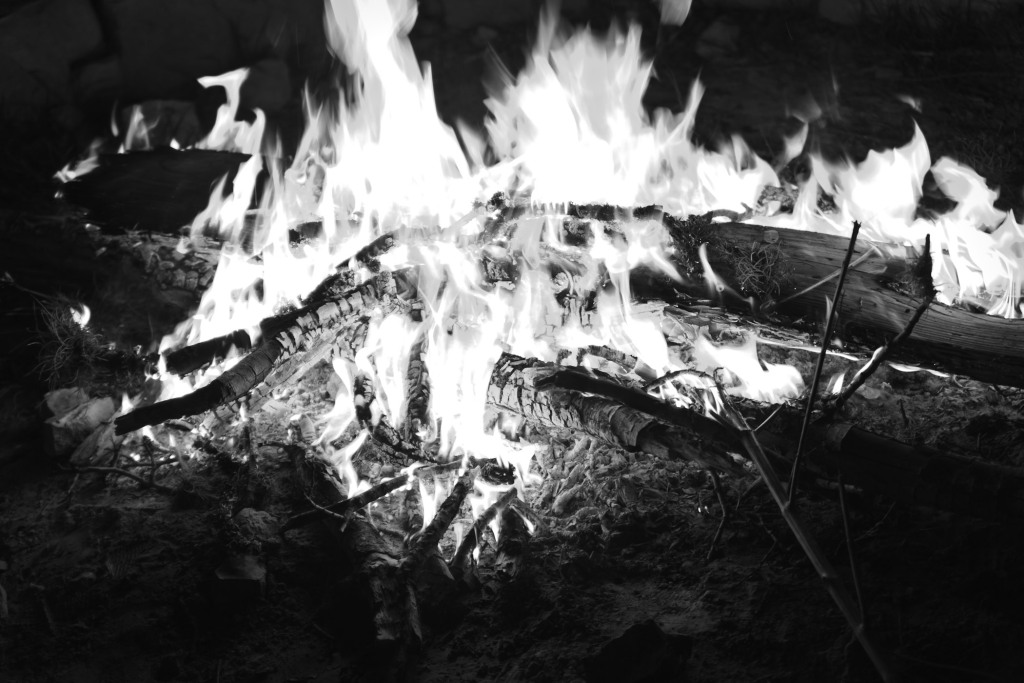 MargotSchoon's tweet photo. Waiting to burn https://t.co/6mNT6hfetj https://t.co/WigBjDoyih