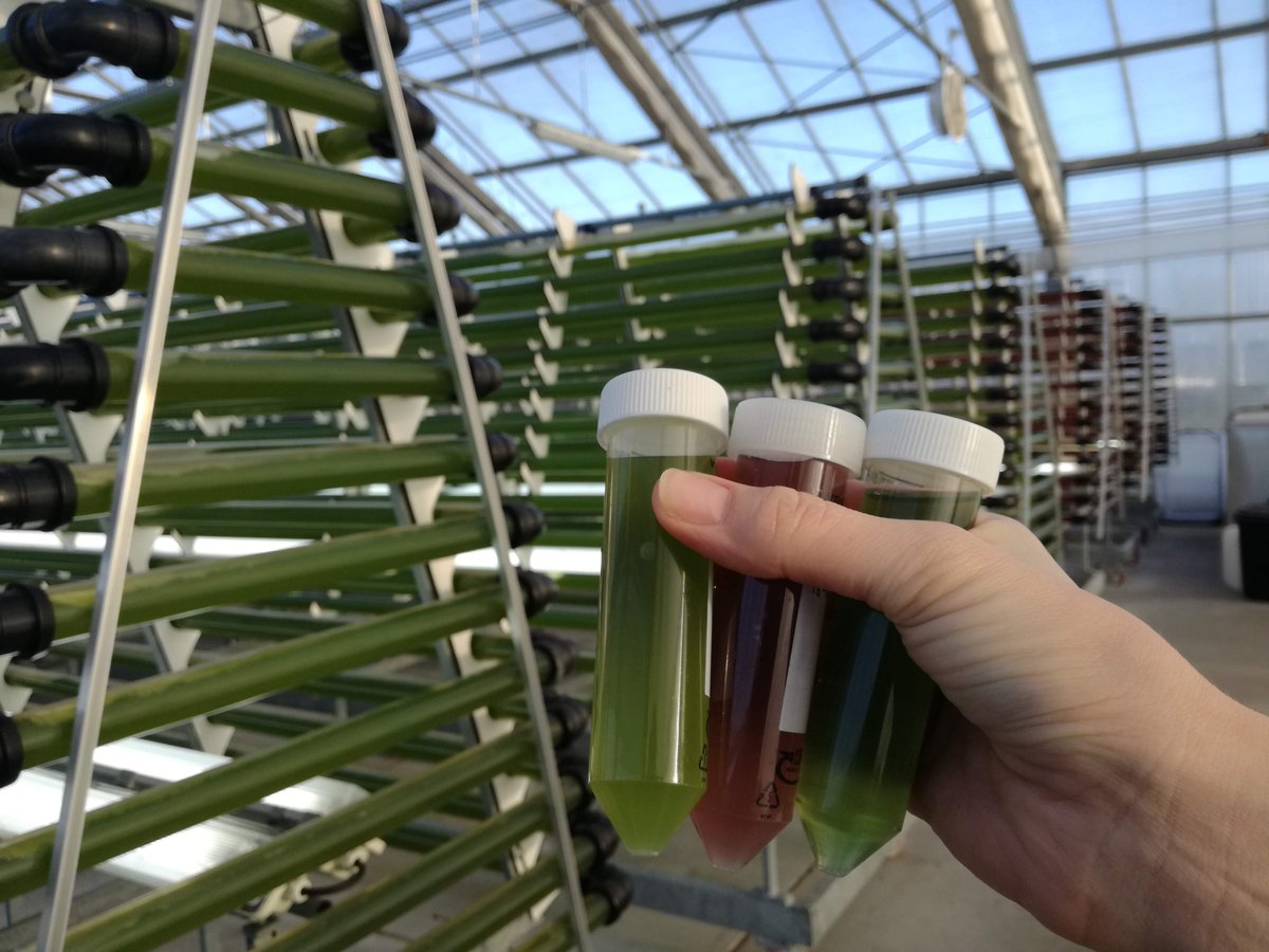 Sustainable Biomass and Chemistry tweet media