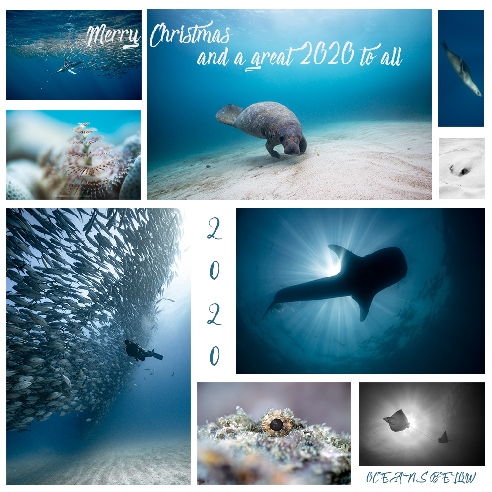 OceansBelow's tweet photo. HAPPY NEW YEAR!!! https://t.co/O6tFC6dRmd