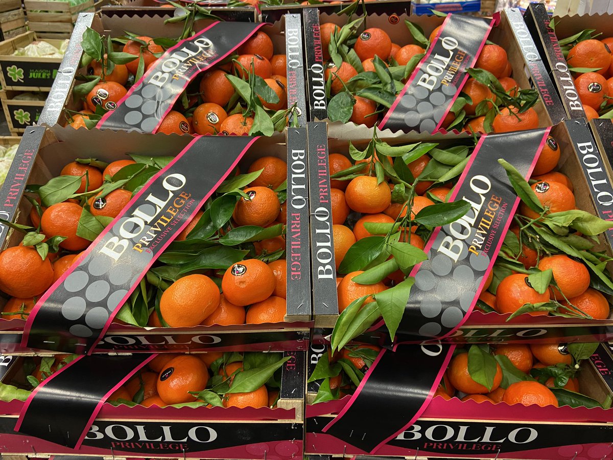 Vous avez besoin de vitamines pour démarrer l’année en pleine forme, nous avons la saveur en plus avec cette superbe mandarine 🍊 clemenvilla by <a href="/bollofruits/">Bollo International Fruits</a> sur <a href="/marchederungis/">Marché de Rungis</a> ! Amis <a href="/Monprimeur/">Monprimeur</a> , <a href="/AndreMighirian/">André Diogo</a> saura vous conseiller ! 🍊👌🍊👍🍊💪🍊
