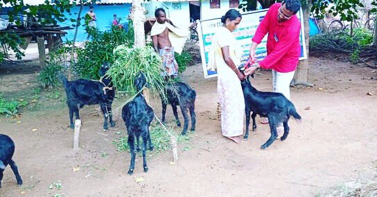 EdelGive's tweet photo. @Vrutti_Catalyst, our partner NGO, has been employing the 3 Fold Model to help over 5,000 farmers become wealthy, resilient and responsible.
Read more on the work that Vrutti does: https://t.co/JhvQHhYXx9
#3Fold #Farmers #CSR #Philanthropy #SustainablePractices https://t.co/cKeSi5UWoY