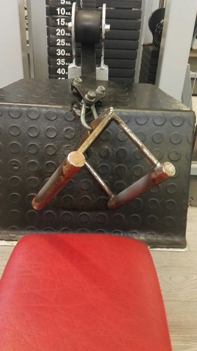 Torniamo in allenamento