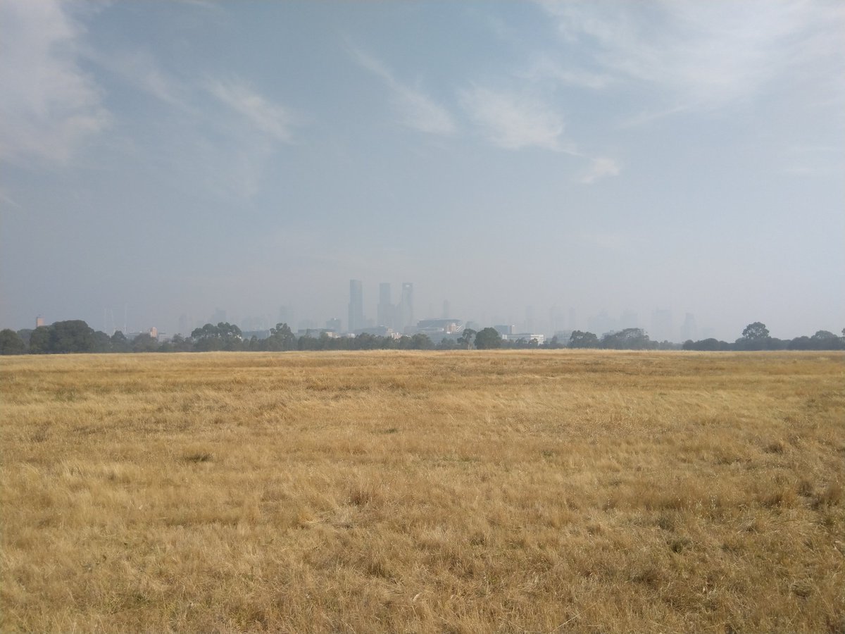 Justin Hardee tweet media