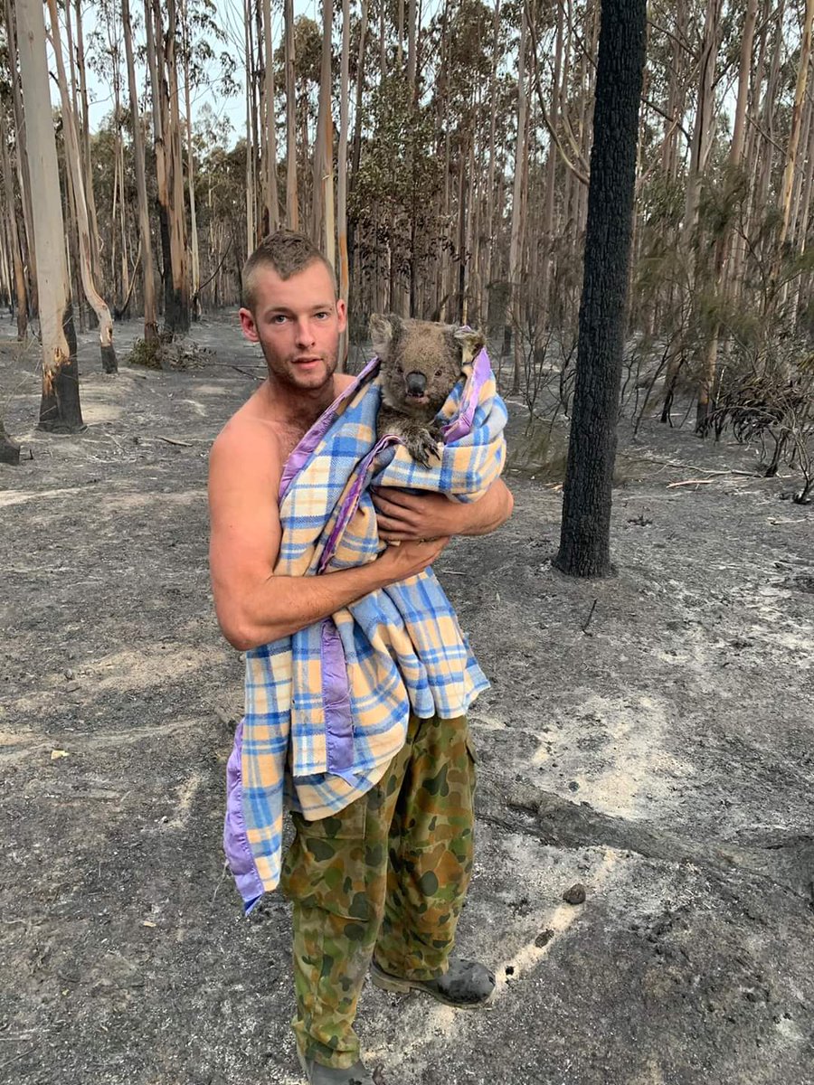 This is Patrick Boyle.

Since the fire has passed through Mallacoota this amazing, selfless young guy has been out searching for injured wildlife. This is one of 7 koalas he's saved so far

The world needs more Patrick's ❤️

#AustraliaBurning #AustraliaBushfires
