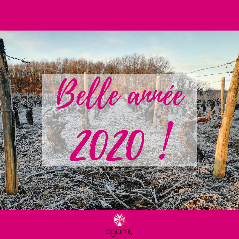 agamy_fr's tweet photo. Nous vous souhaitons une superbe année 2020, remplie de beaux projets et d'histoires à partager ! https://t.co/llULKyGwb9
