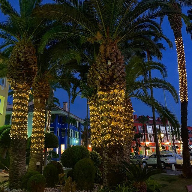 Sotogrande Port by night #lights #christmaslights #foodie #restaurants #positivevibes #palmtrees #travel #tourists #beautiful #yachts #familytime #holiday #vacation #home #sotogrande #sotograndelifestyle #sotograndelife #Cadiz #igerscadiz #Andalucia #Spain