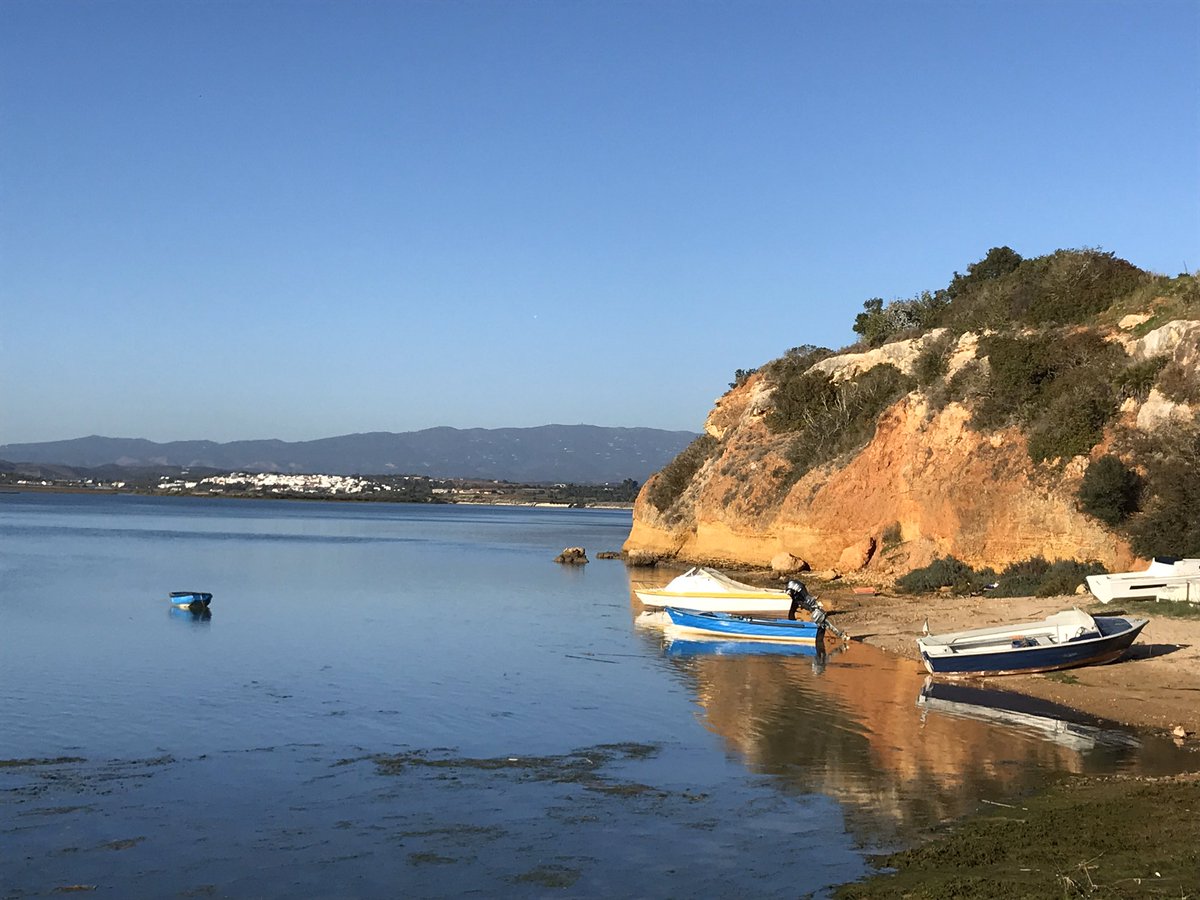 De jaarwisseling genoten. Niet in Nederland dit jaar. Het gegeven dat dit zonder vuurwerk (oorlog gedrag) verliep was een verademing.