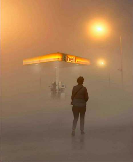 PeterCronau's tweet image. Can you think of a caption for this photo?