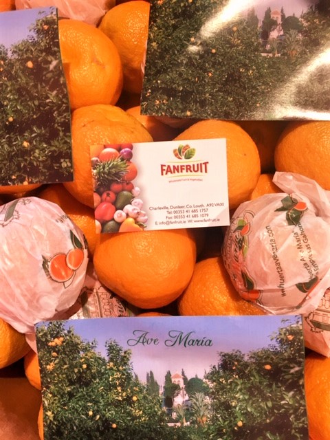 Organic Marmalade Oranges in conjunction with our friends at the Huerta Ave Maria in Sevilla Espana have arrived Fresh today at Fanfruit. Contact the team Now at 041-6851757. Limited stock available. When they are gone, they really are gone. fanfruit.ie