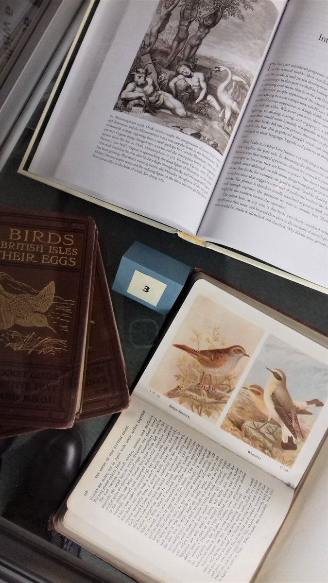 LibraryRobinson's tweet photo. New year, new display in the Library #birdsinbooks
and how could we not include #TheLostWords https://t.co/SI5TZQ17ZZ